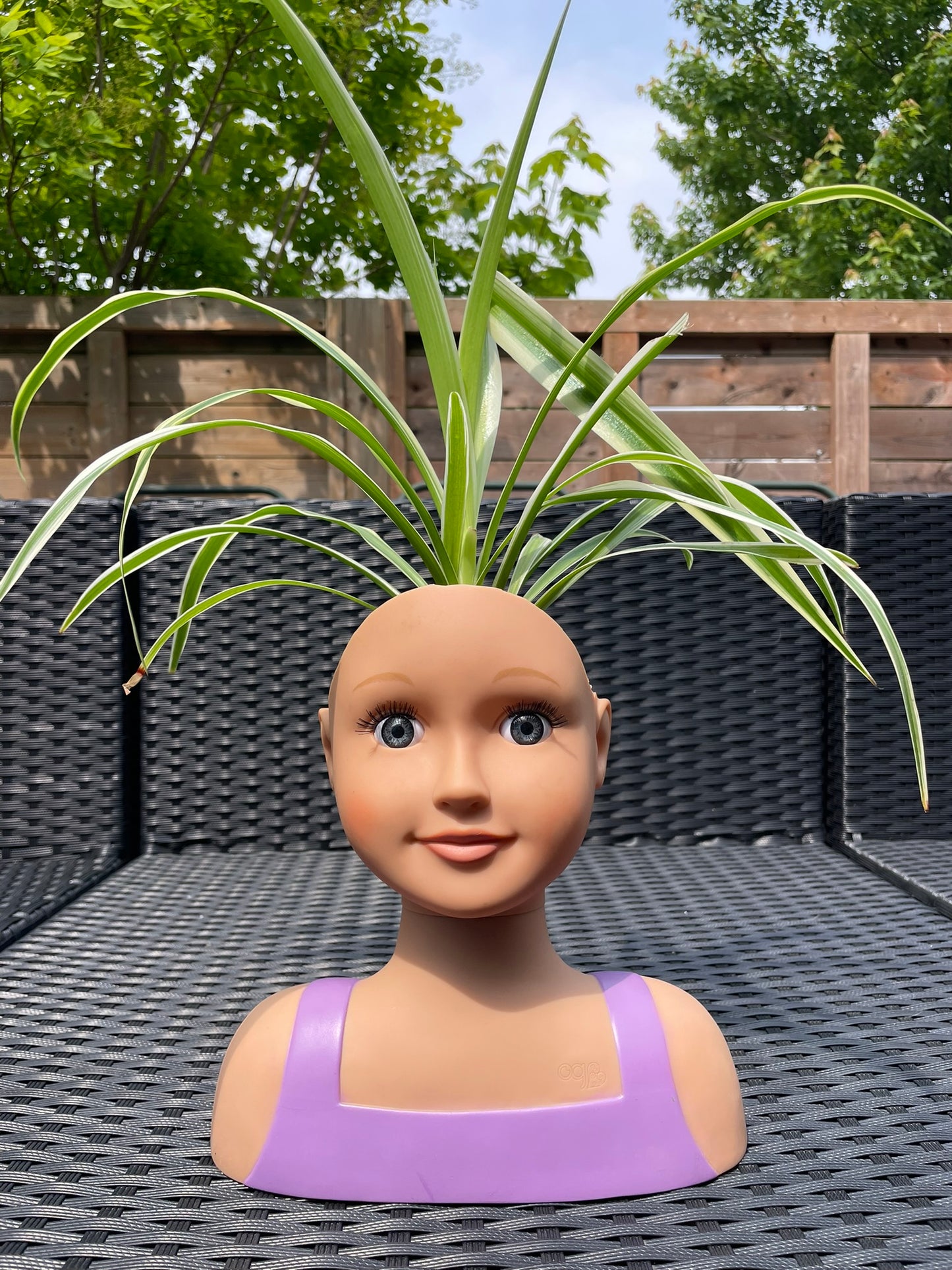Barbie Head Planters