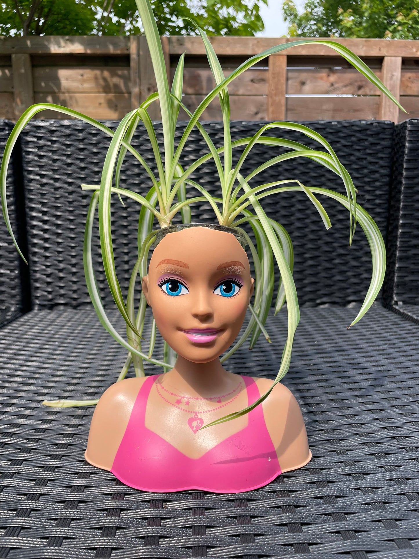 Barbie Head Planters