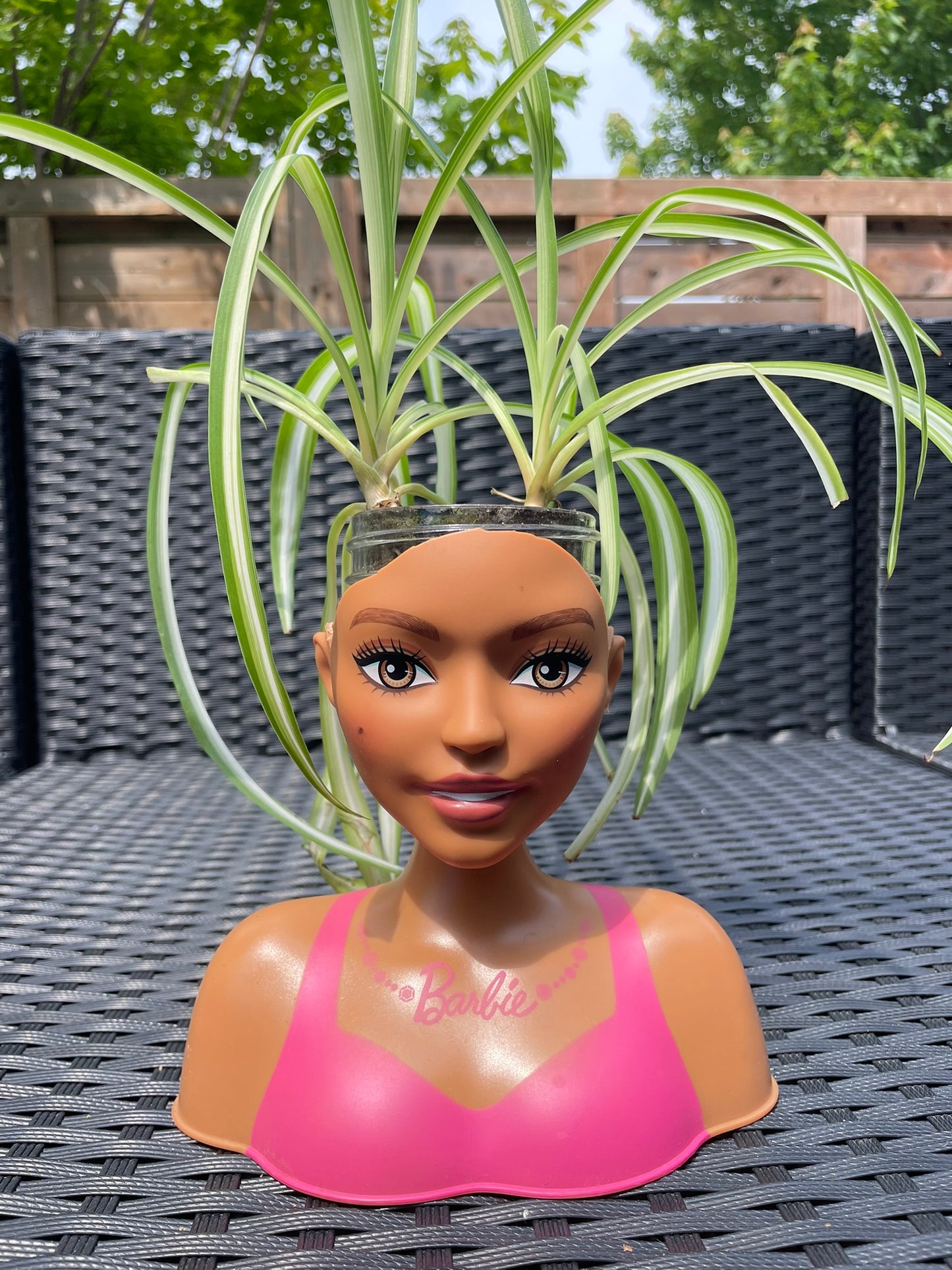 Barbie Head Planters